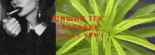 СК Зерноград