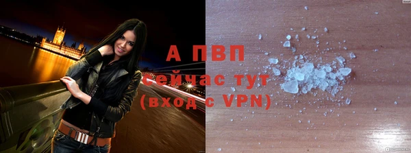 СК Зерноград