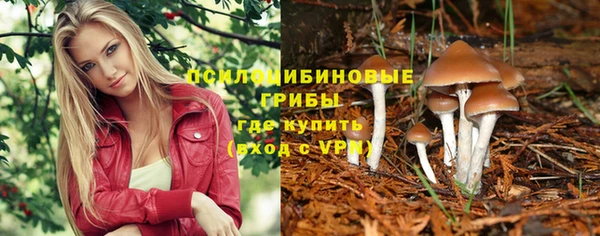 2c-b Зеленодольск