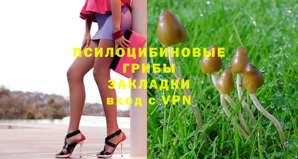 СК Зерноград