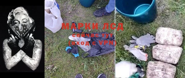 СК Зерноград