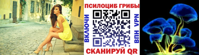 Купить  Еманжелинск  Псилоцибиновые грибы MAGIC MUSHROOMS 